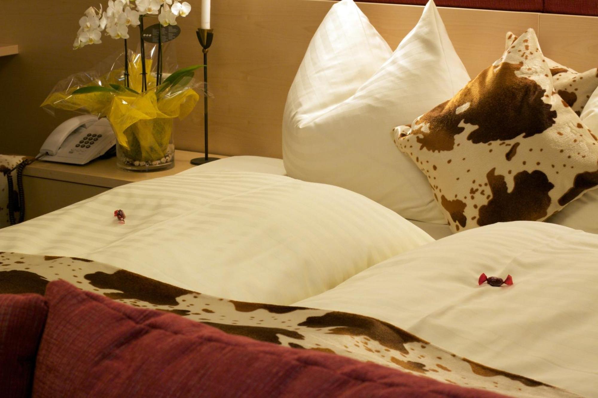 Hotel Landhaus Carla Mayrhofen Dış mekan fotoğraf